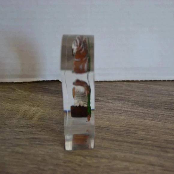 Vtg Lucite Encased Wood Owl Paperweight - Picture 5 of 6